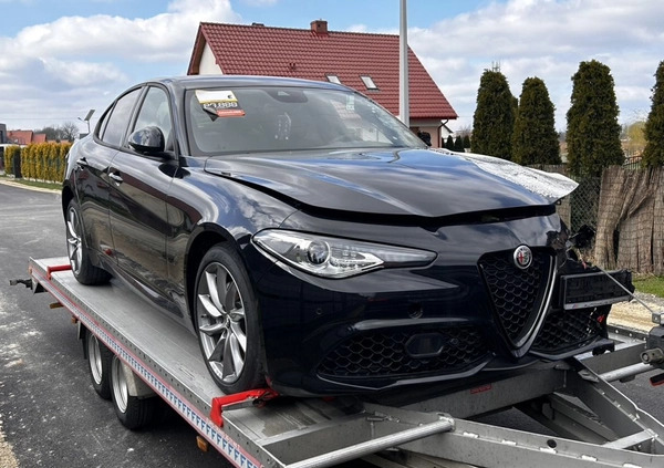 Alfa Romeo Giulia cena 59900 przebieg: 10, rok produkcji 2023 z Wrocław małe 497